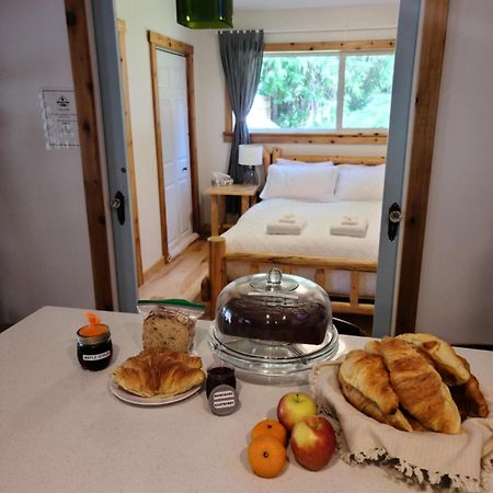 Grizzly Paw B&B Clearwater Kültér fotó