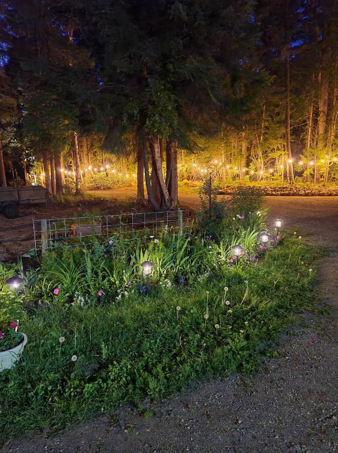 Grizzly Paw B&B Clearwater Kültér fotó